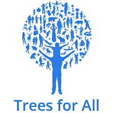 trees for all teambuilding Manchester